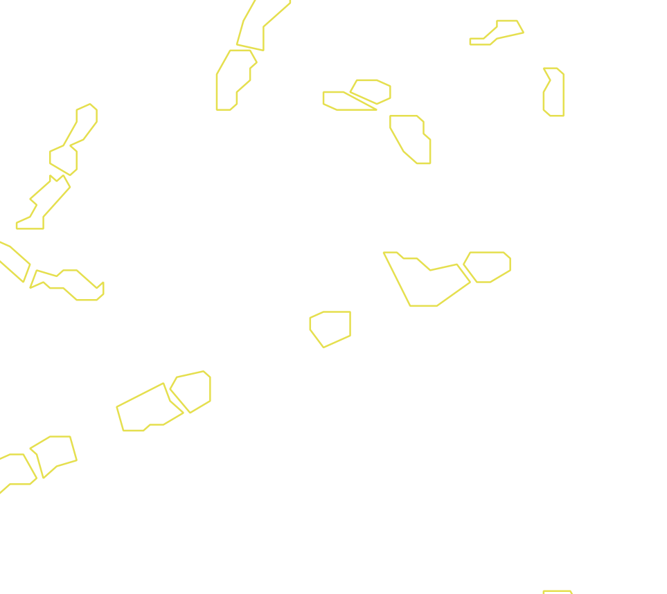 Daksegment met contourlijnen en structuurweergave