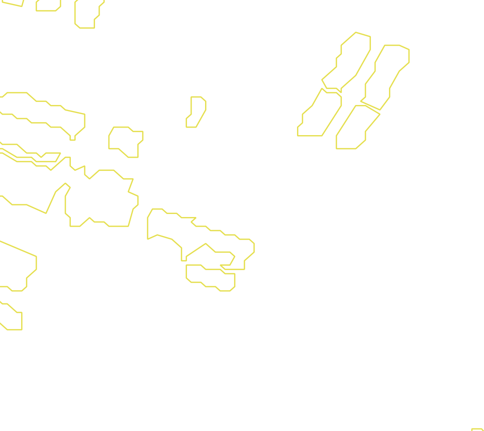 Daksegment met contourlijnen en structuurweergave
