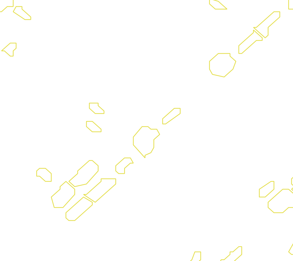 Daksegment met contourlijnen en structuurweergave