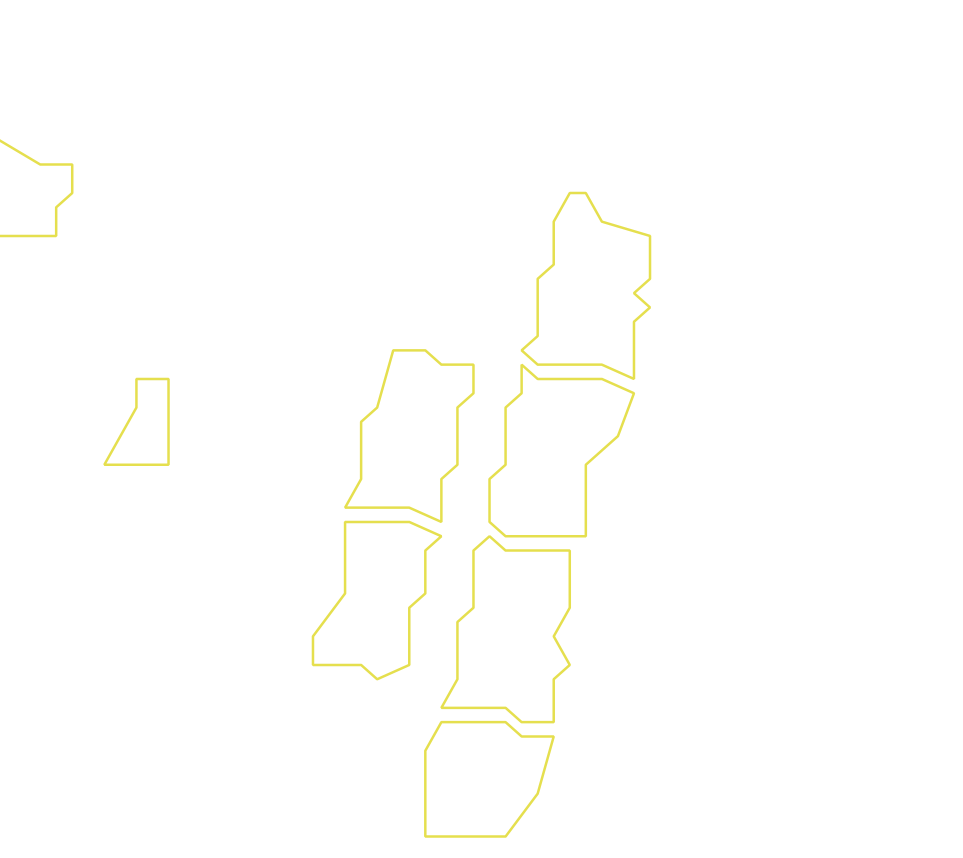 Daksegment ingezoomd met contourlijnen en structuurweergave
