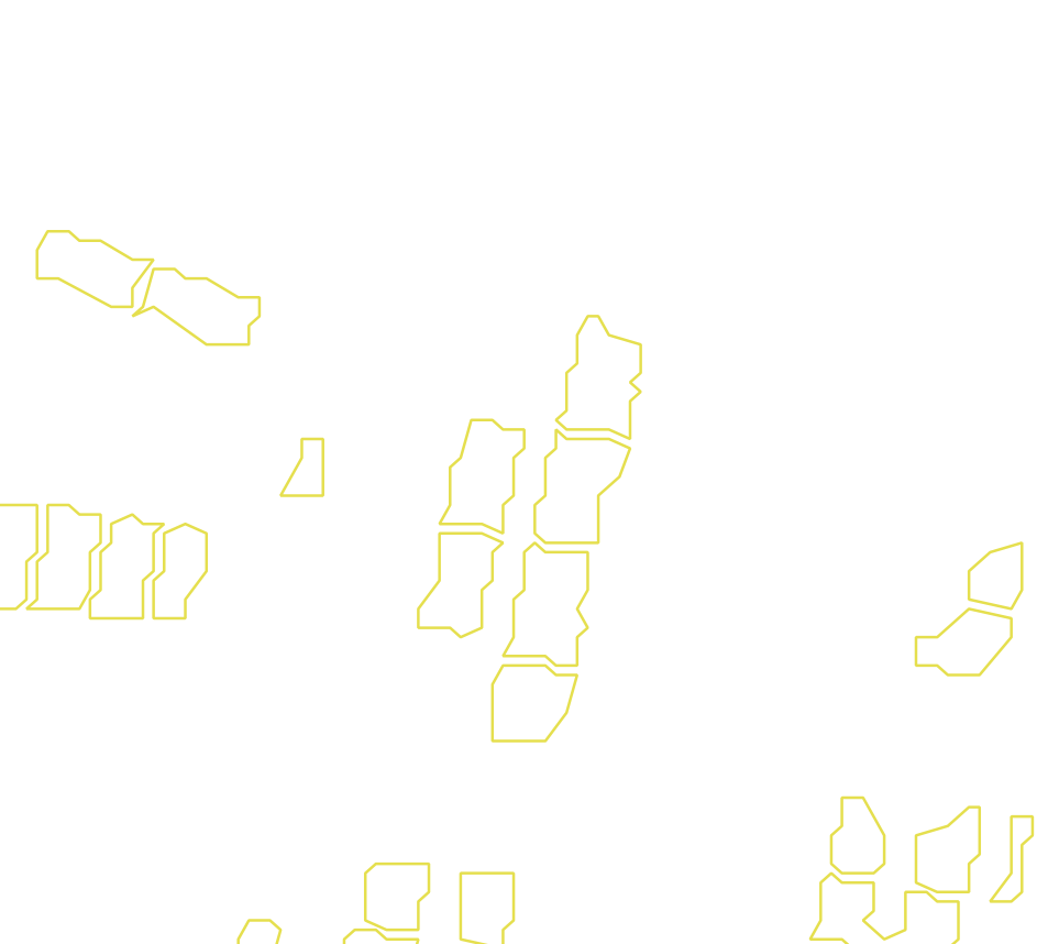 Daksegment met contourlijnen en structuurweergave