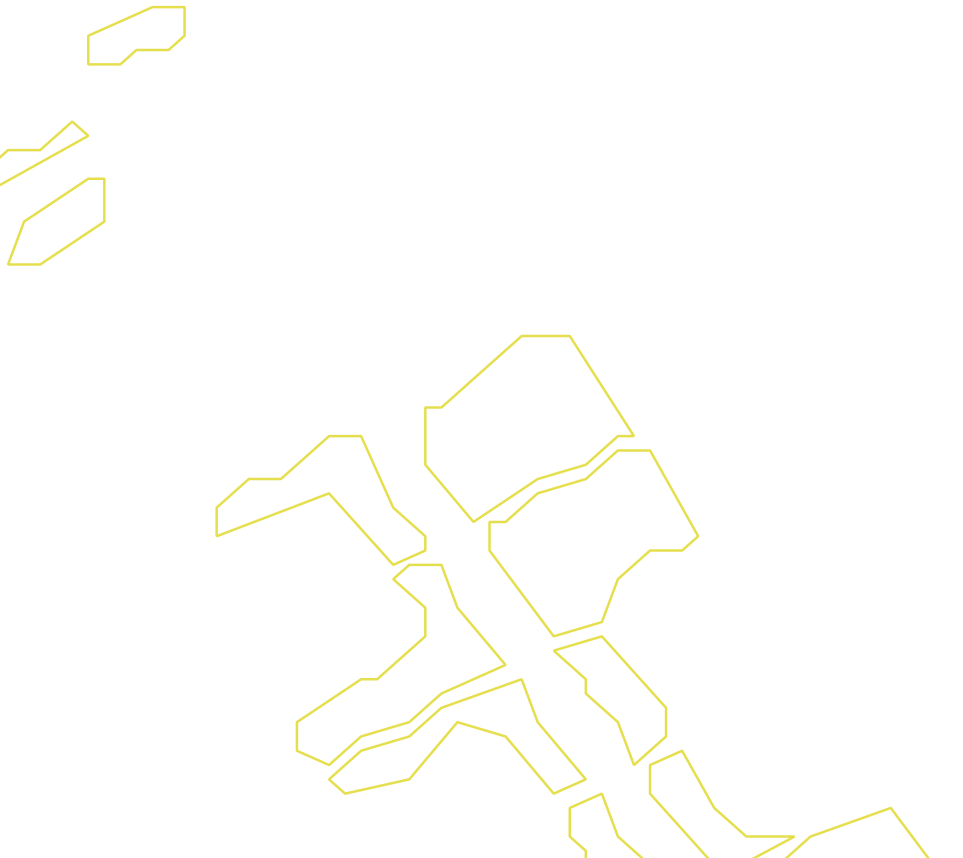Daksegment ingezoomd met contourlijnen en structuurweergave