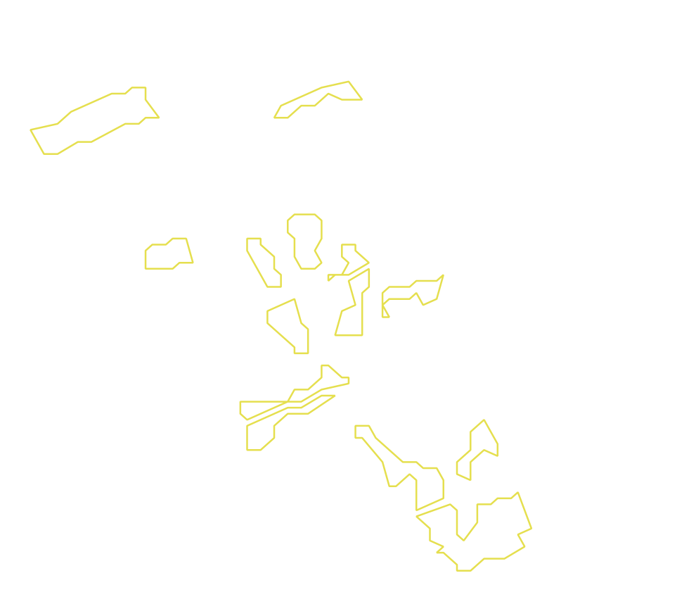Daksegment met contourlijnen en structuurweergave