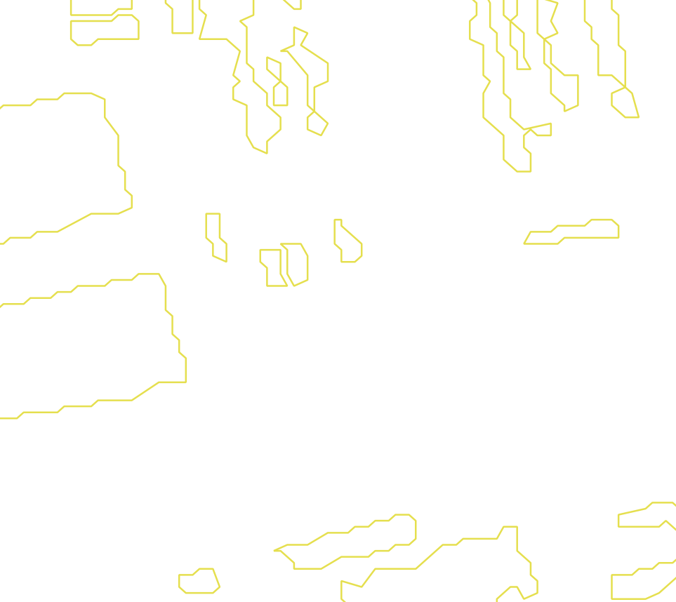 Daksegment met contourlijnen en structuurweergave