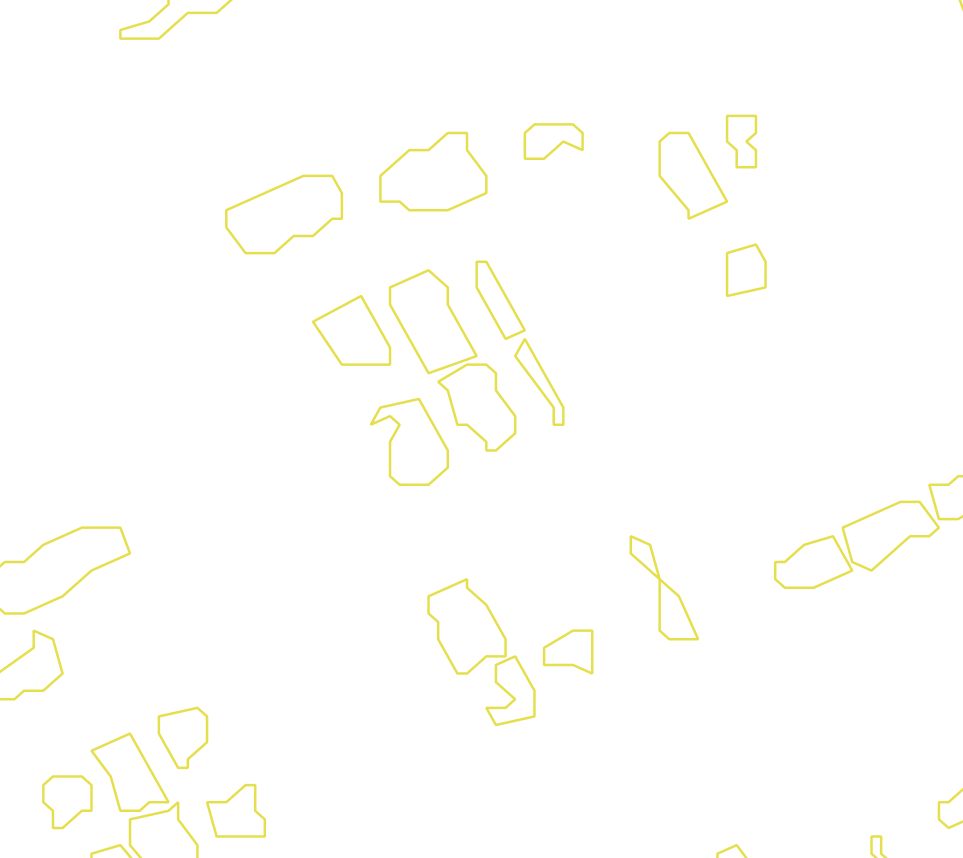 Daksegment met contourlijnen en structuurweergave