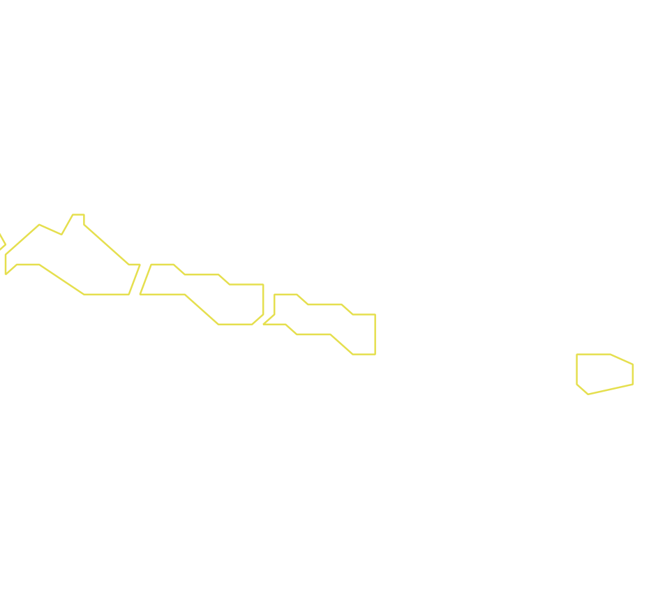Daksegment ingezoomd met contourlijnen en structuurweergave