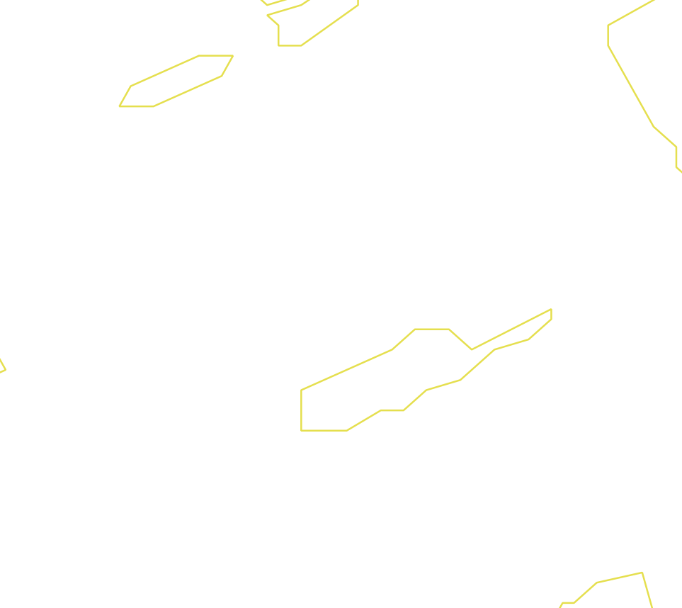 Daksegment ingezoomd met contourlijnen en structuurweergave