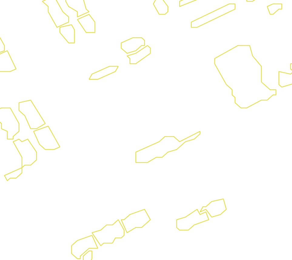Daksegment met contourlijnen en structuurweergave