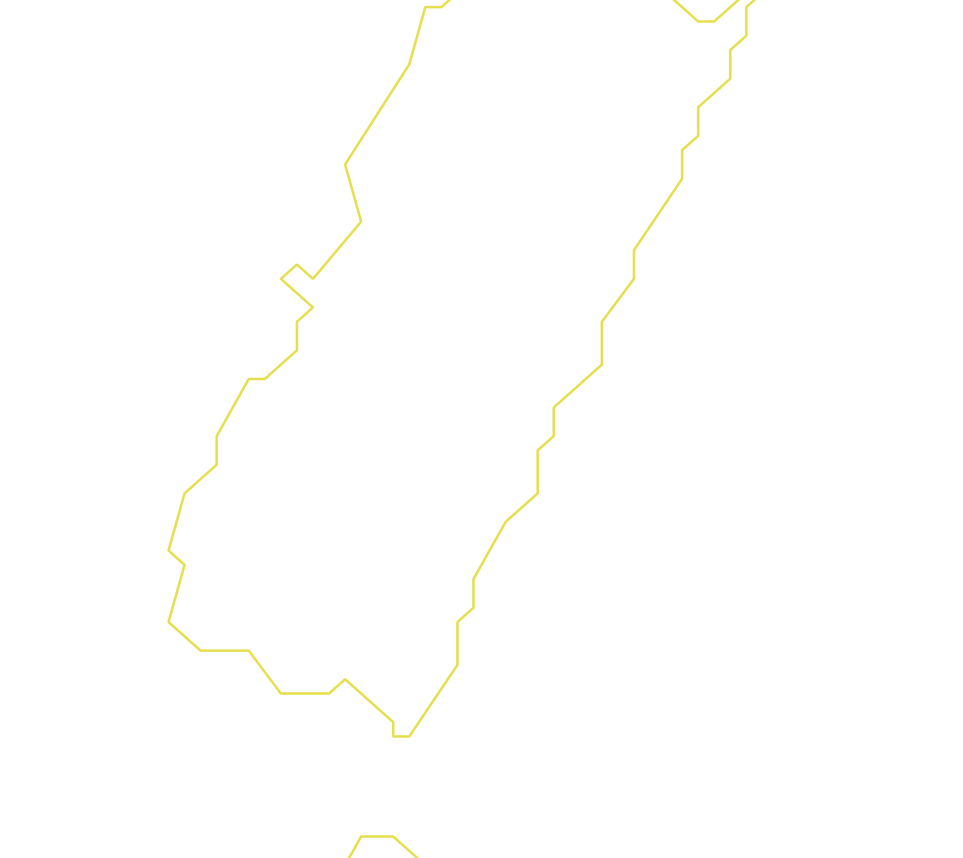 Daksegment ingezoomd met contourlijnen en structuurweergave