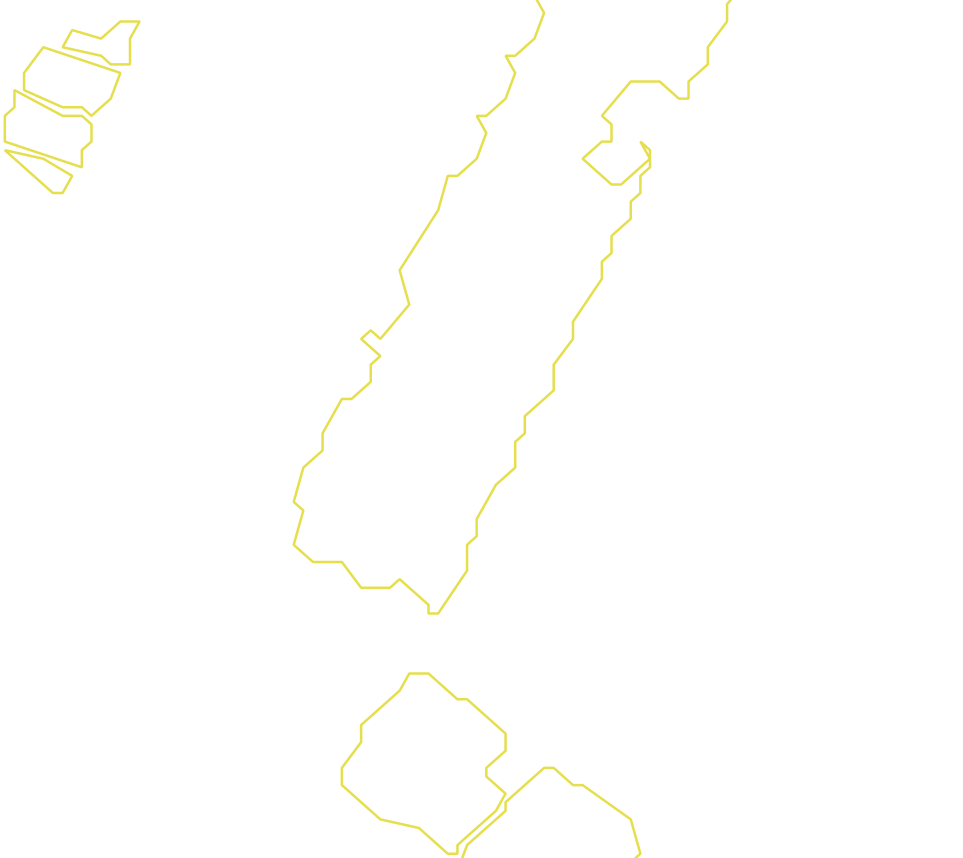 Daksegment met contourlijnen en structuurweergave