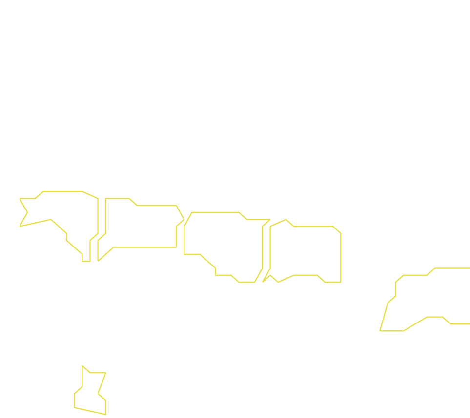 Daksegment ingezoomd met contourlijnen en structuurweergave