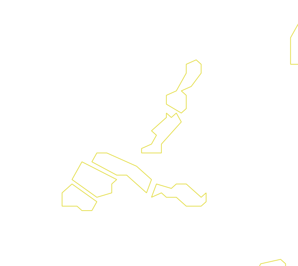 Daksegment ingezoomd met contourlijnen en structuurweergave