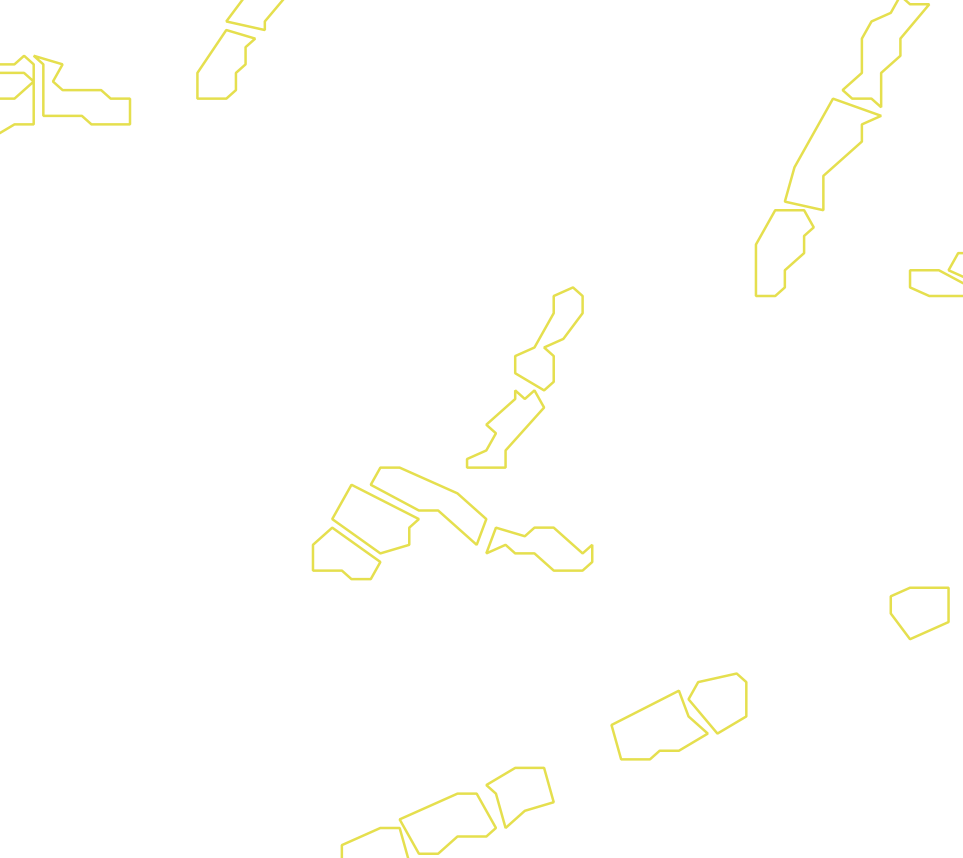 Daksegment met contourlijnen en structuurweergave