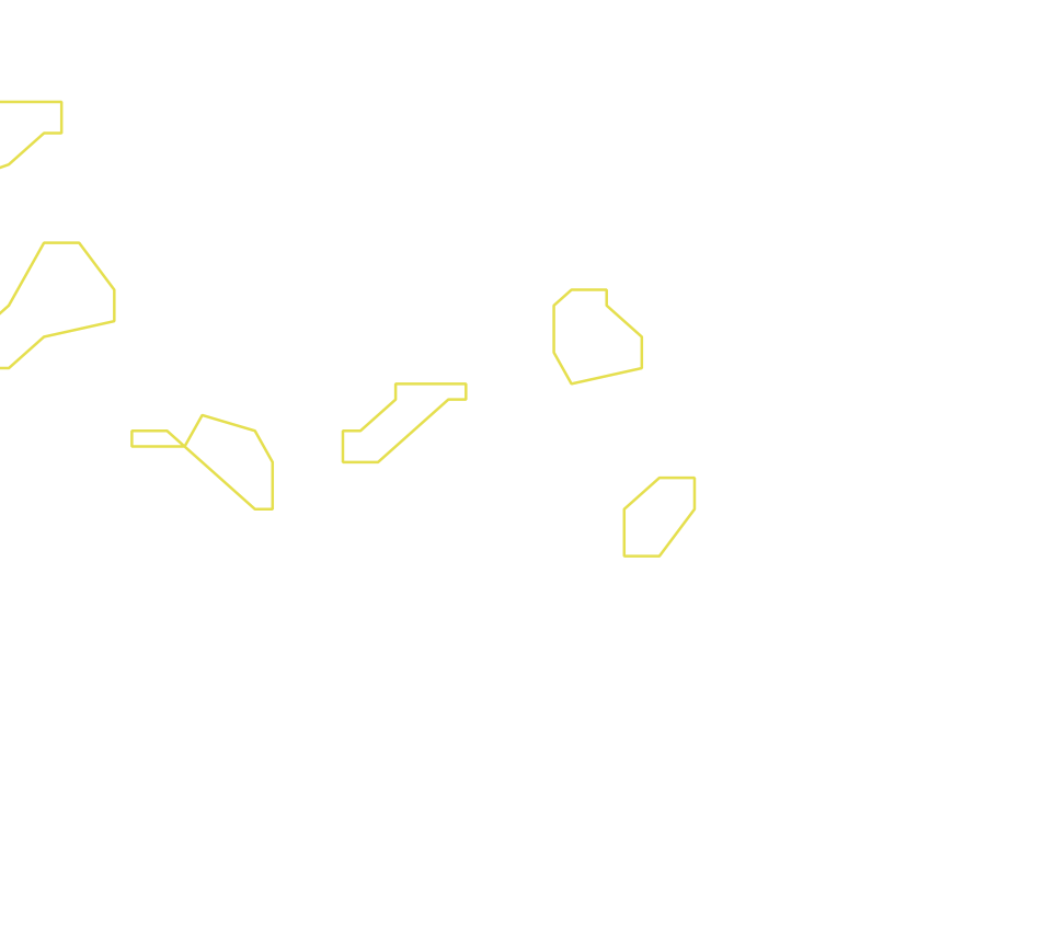 Daksegment ingezoomd met contourlijnen en structuurweergave
