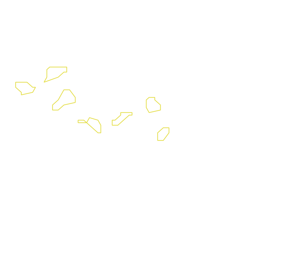 Daksegment met contourlijnen en structuurweergave