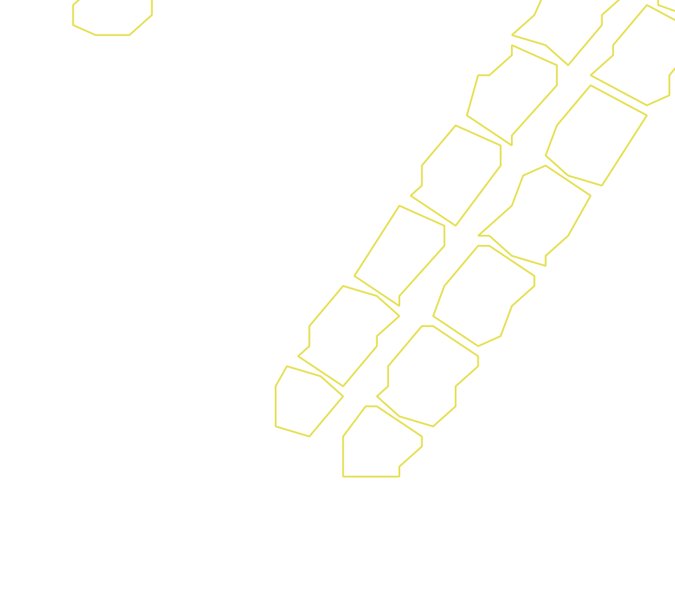 Daksegment ingezoomd met contourlijnen en structuurweergave