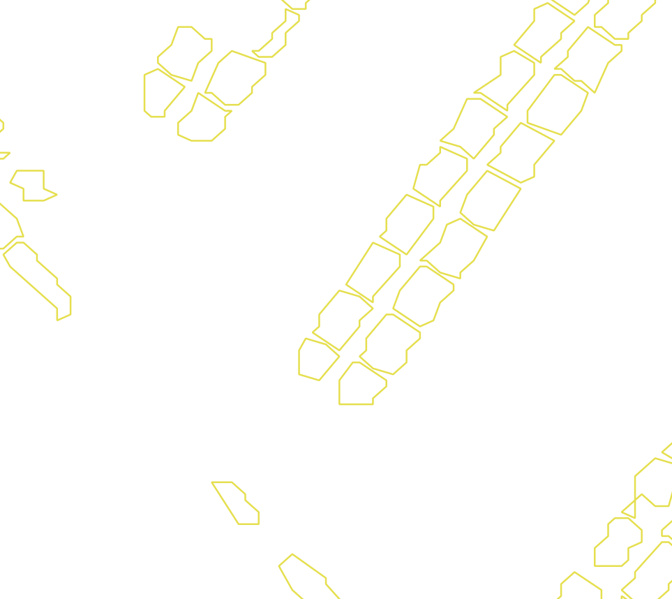 Daksegment met contourlijnen en structuurweergave