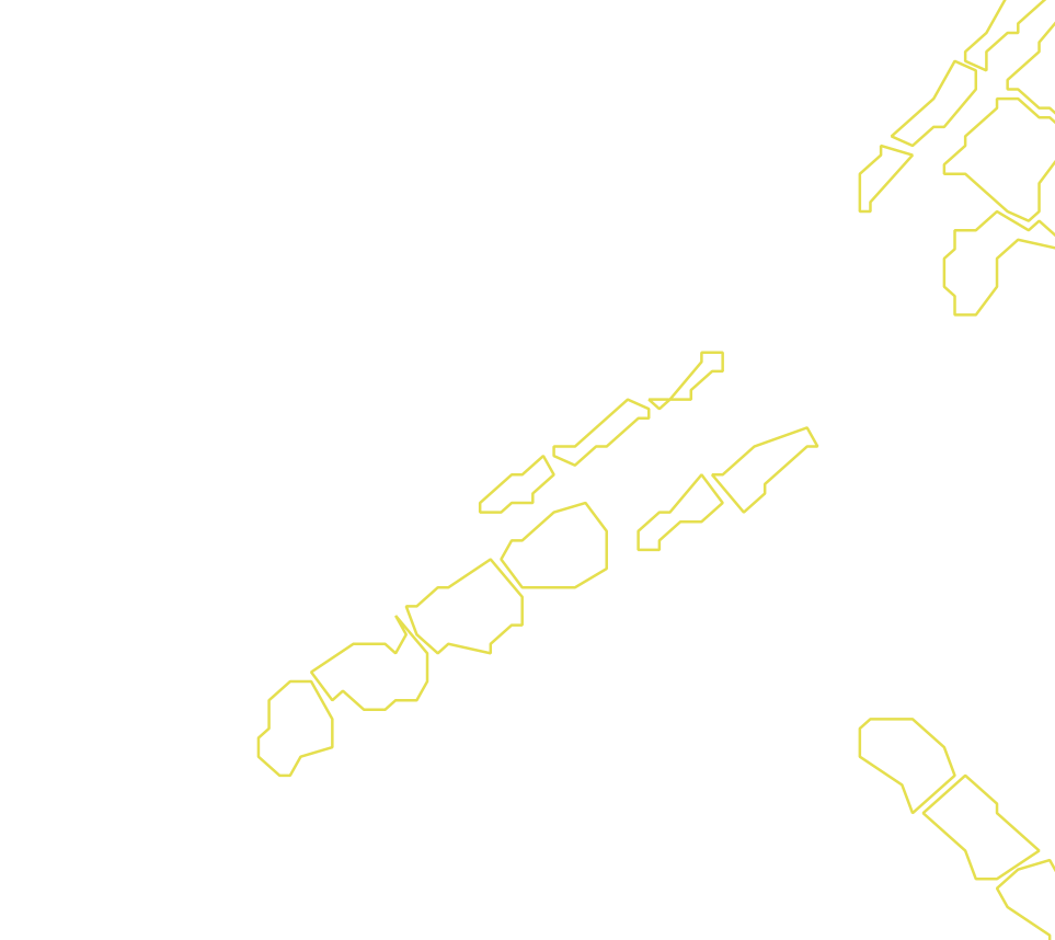 Daksegment met contourlijnen en structuurweergave