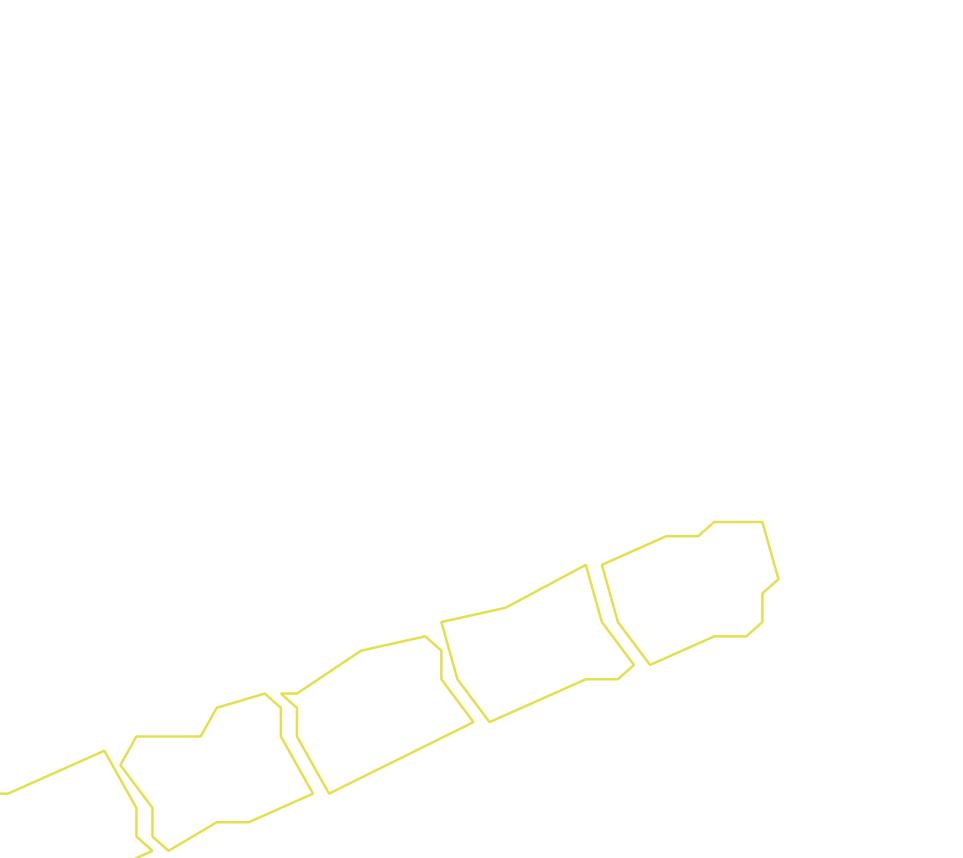 Daksegment ingezoomd met contourlijnen en structuurweergave