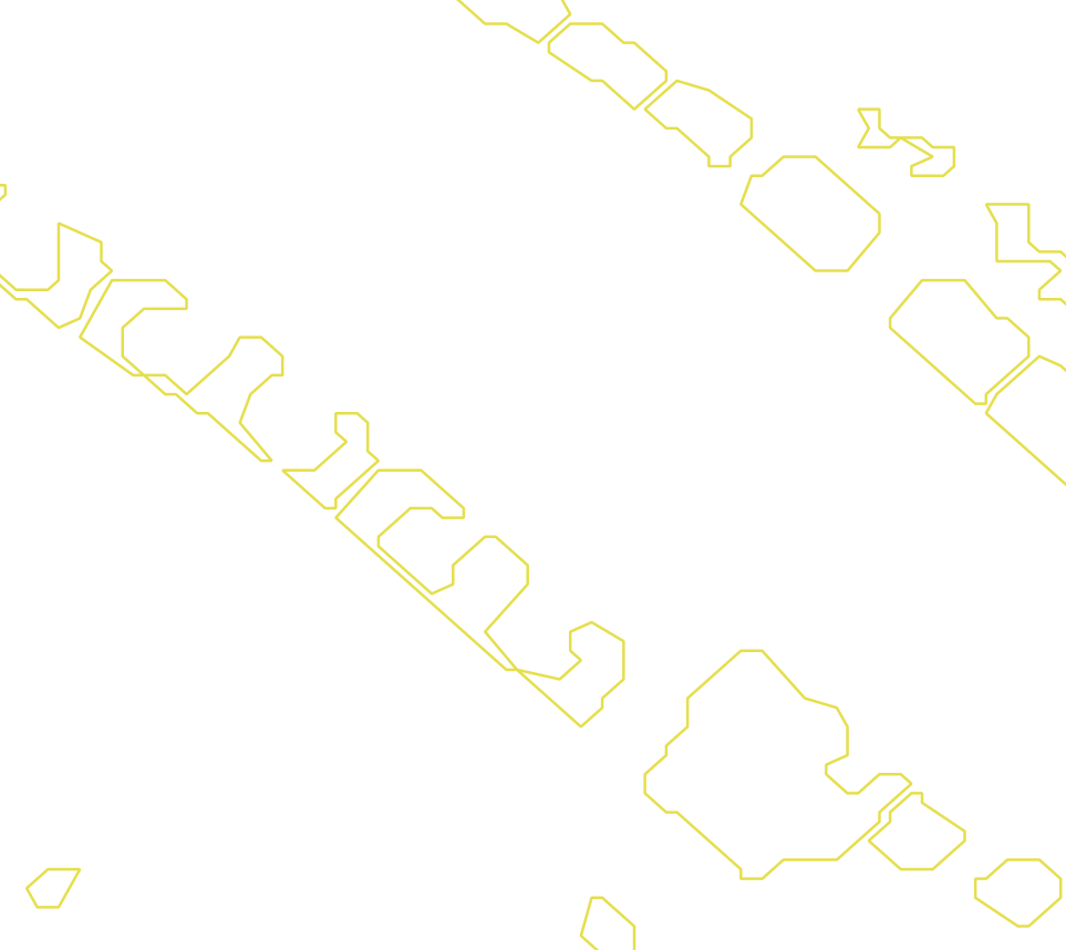 Daksegment met contourlijnen en structuurweergave