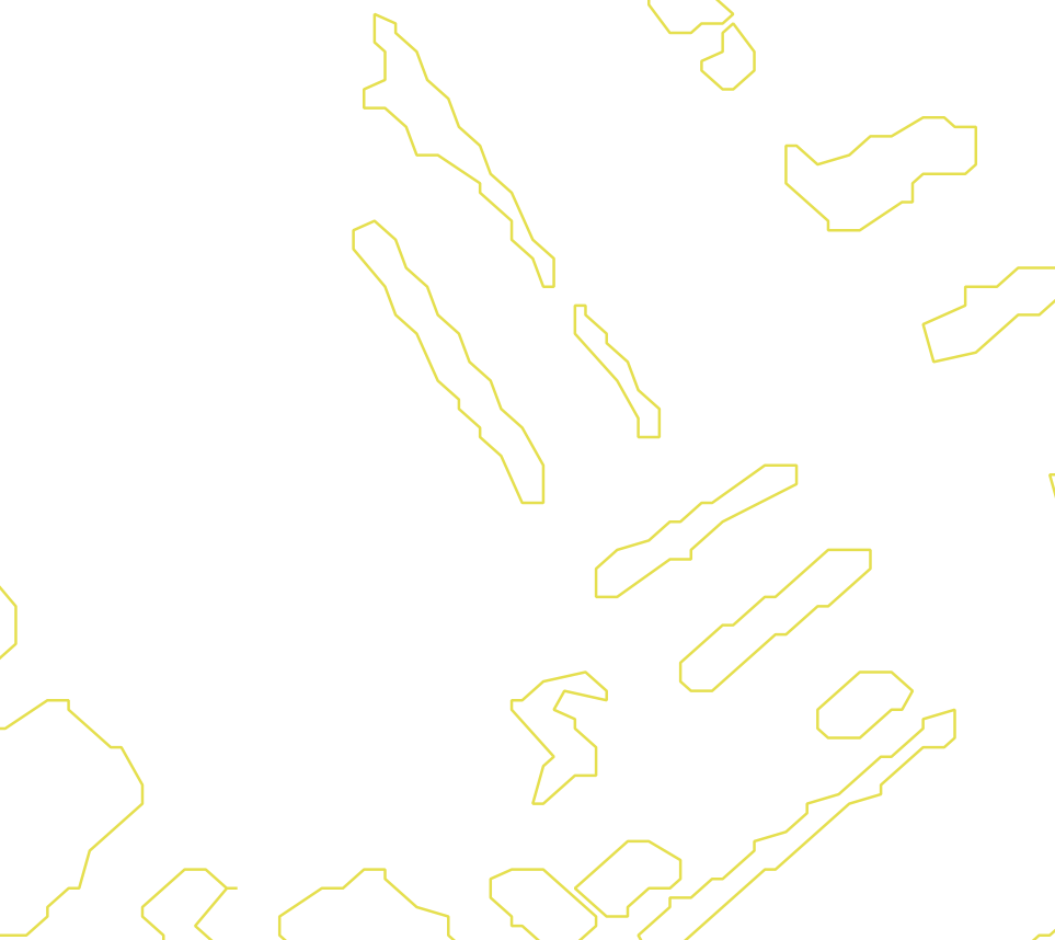 Daksegment met contourlijnen en structuurweergave
