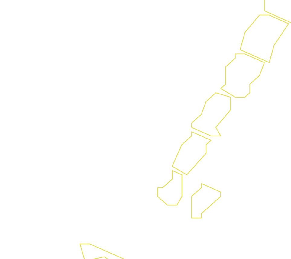 Daksegment ingezoomd met contourlijnen en structuurweergave