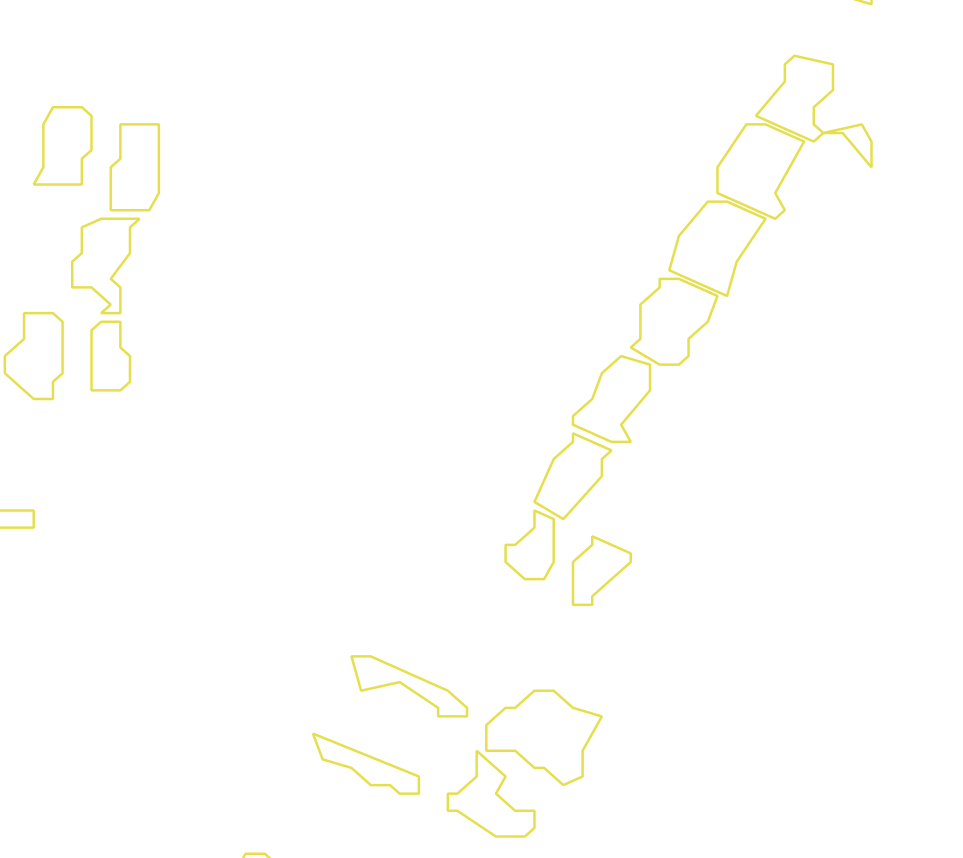 Daksegment met contourlijnen en structuurweergave