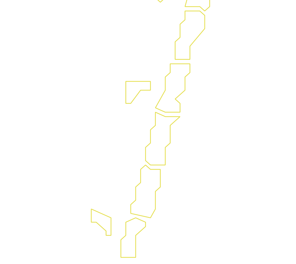 Daksegment ingezoomd met contourlijnen en structuurweergave