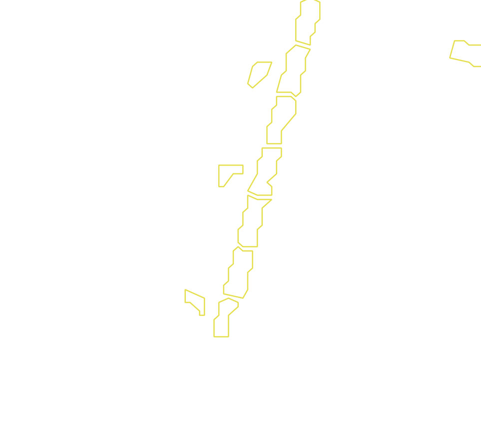 Daksegment met contourlijnen en structuurweergave