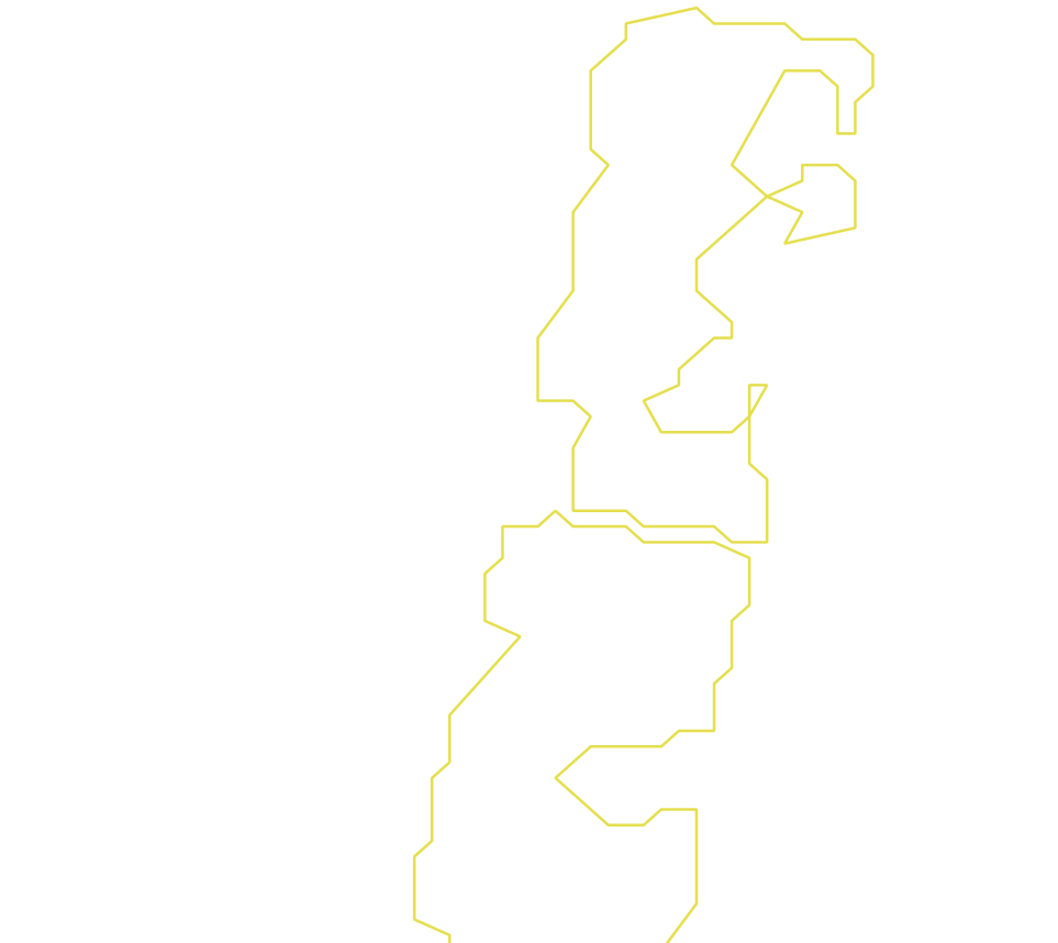 Daksegment ingezoomd met contourlijnen en structuurweergave