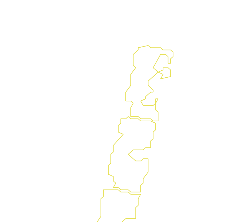 Daksegment met contourlijnen en structuurweergave