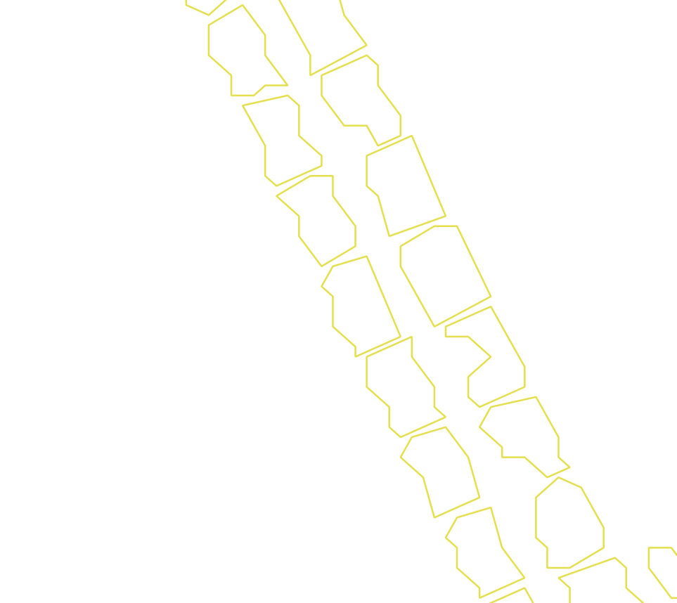 Daksegment ingezoomd met contourlijnen en structuurweergave