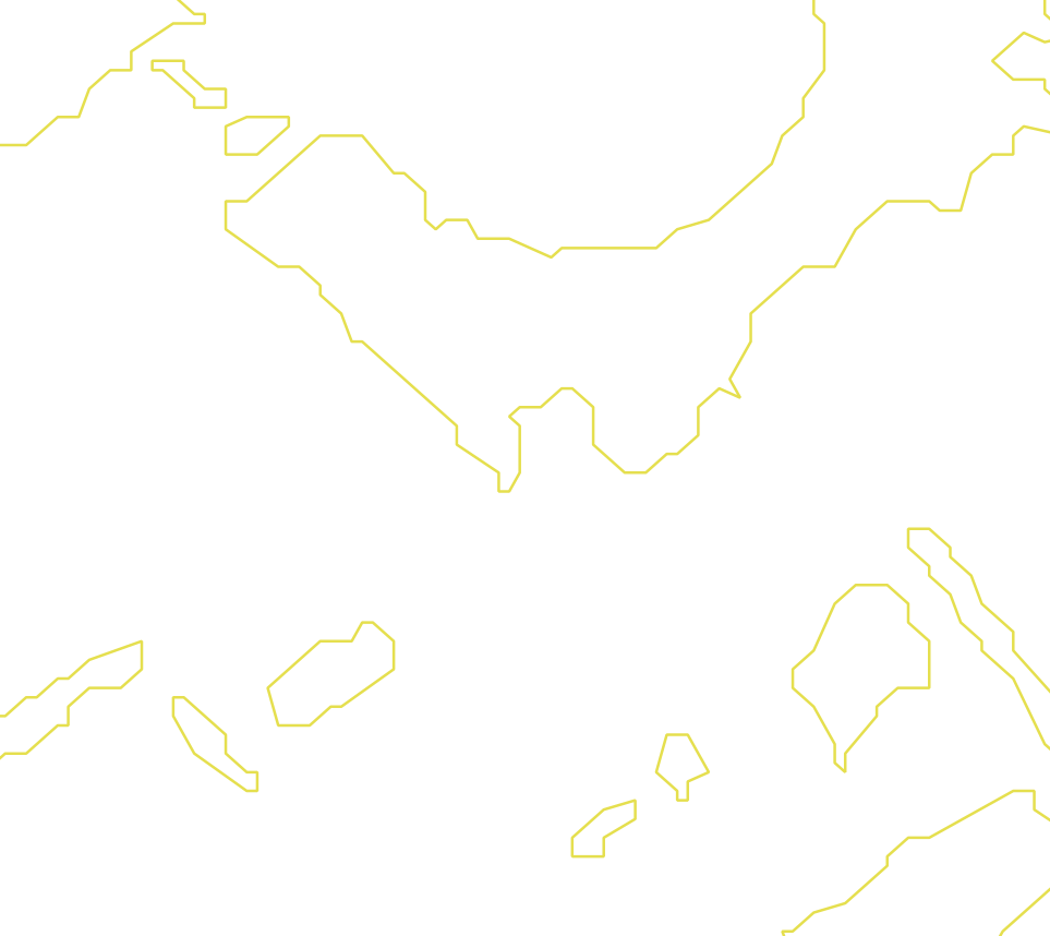 Daksegment met contourlijnen en structuurweergave