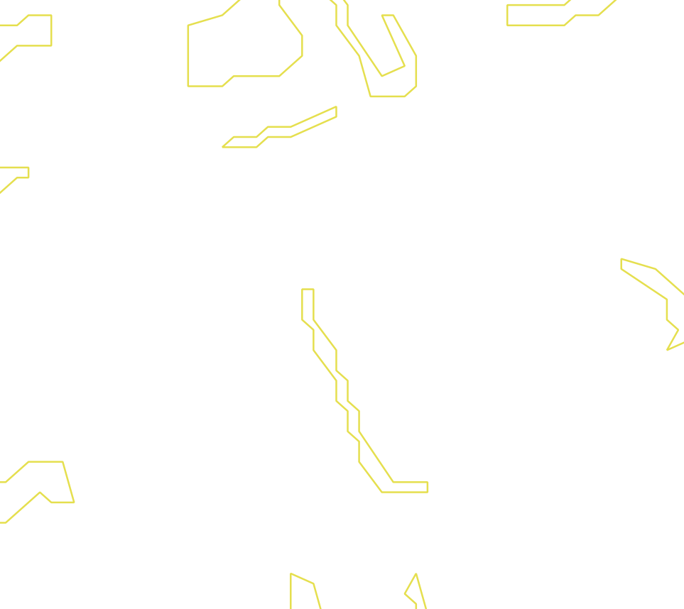 Daksegment ingezoomd met contourlijnen en structuurweergave
