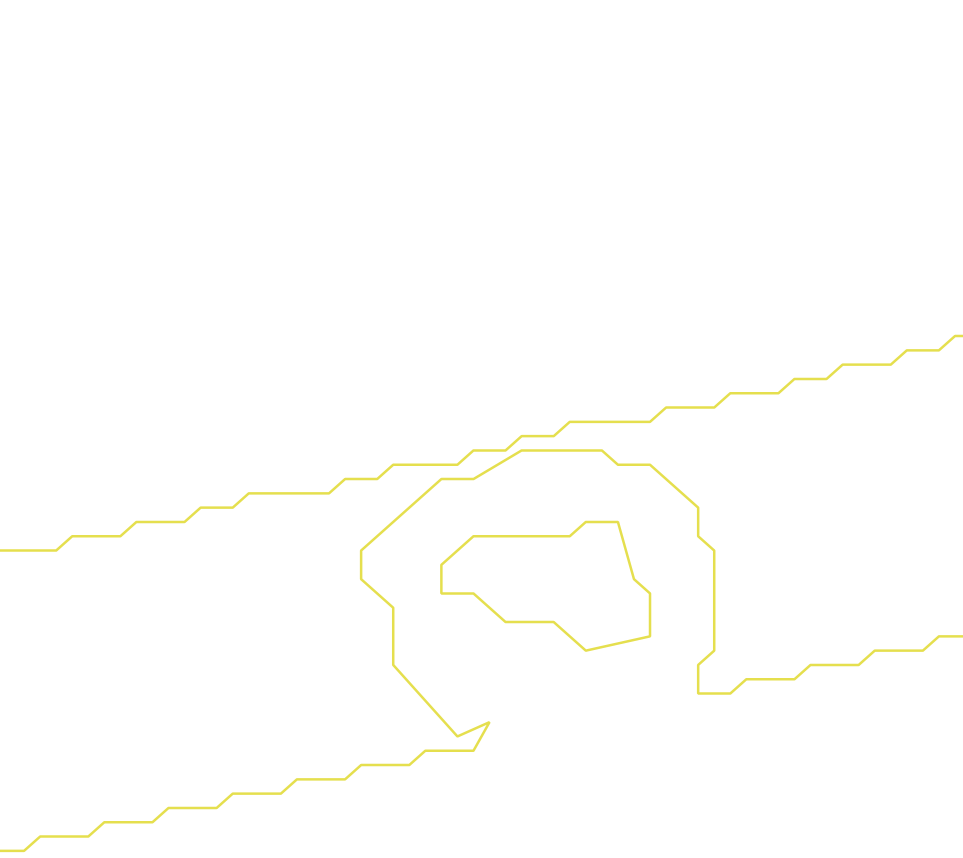 Daksegment ingezoomd met contourlijnen en structuurweergave