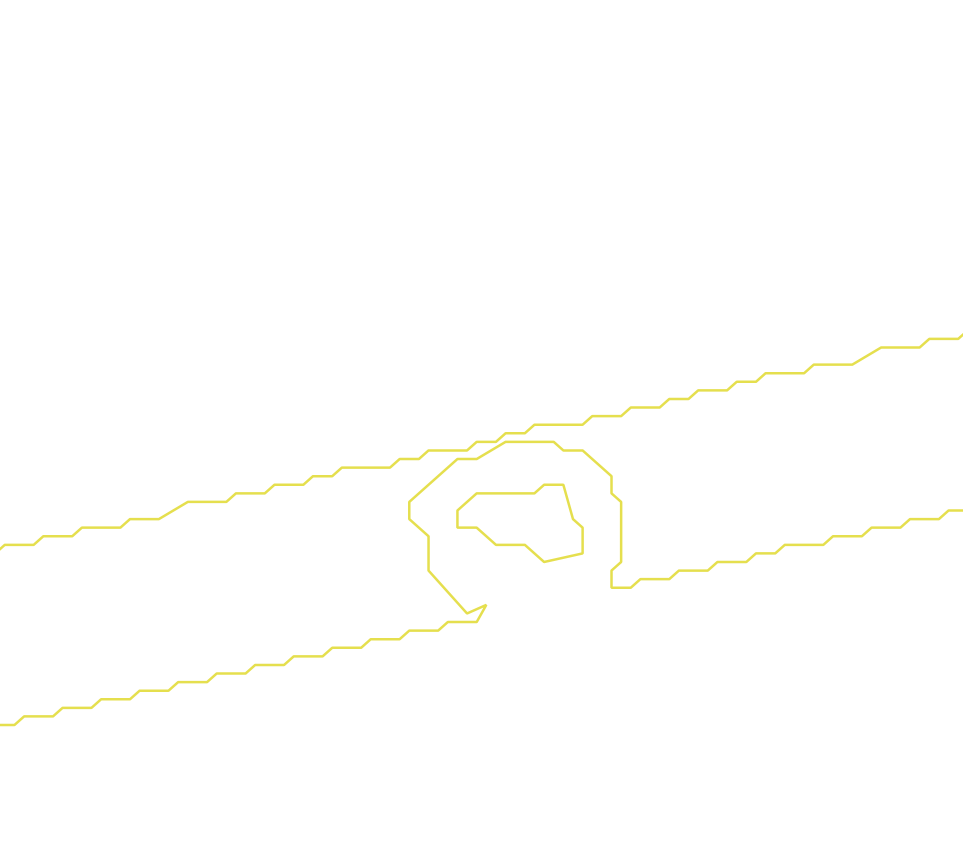 Daksegment met contourlijnen en structuurweergave