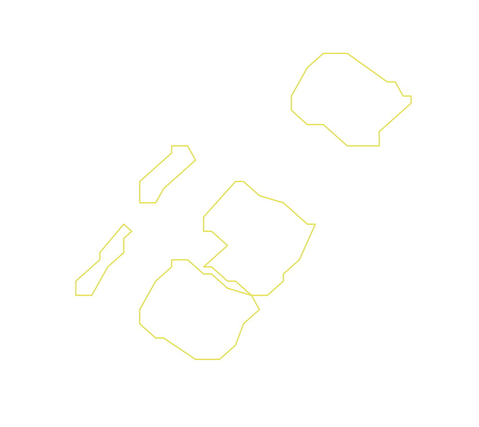 Daksegment ingezoomd met contourlijnen en structuurweergave