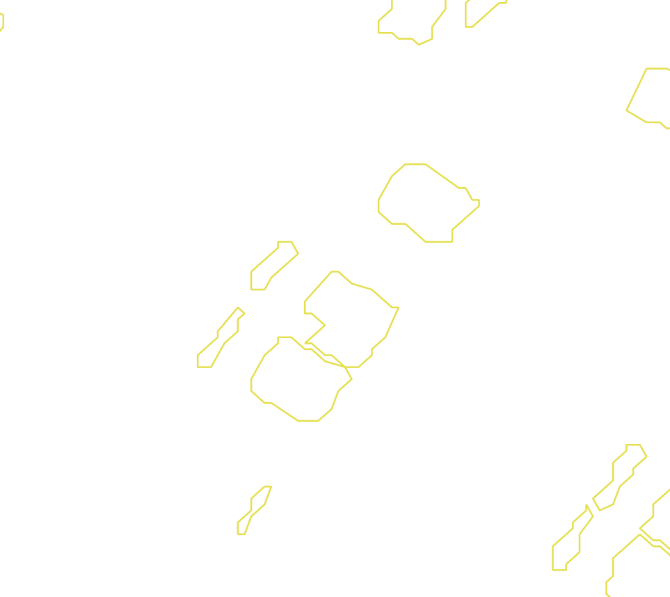 Daksegment met contourlijnen en structuurweergave