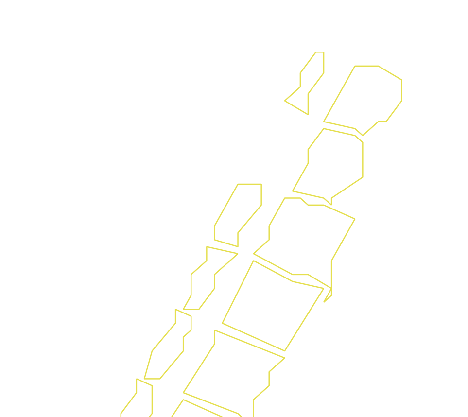 Daksegment ingezoomd met contourlijnen en structuurweergave