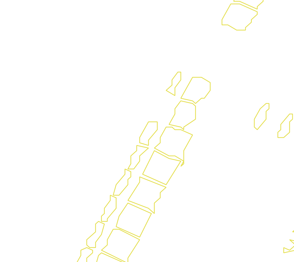 Daksegment met contourlijnen en structuurweergave