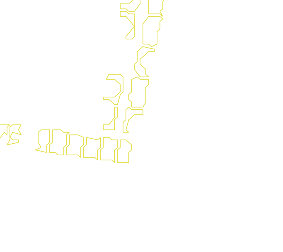 Daksegment met contourlijnen en structuurweergave