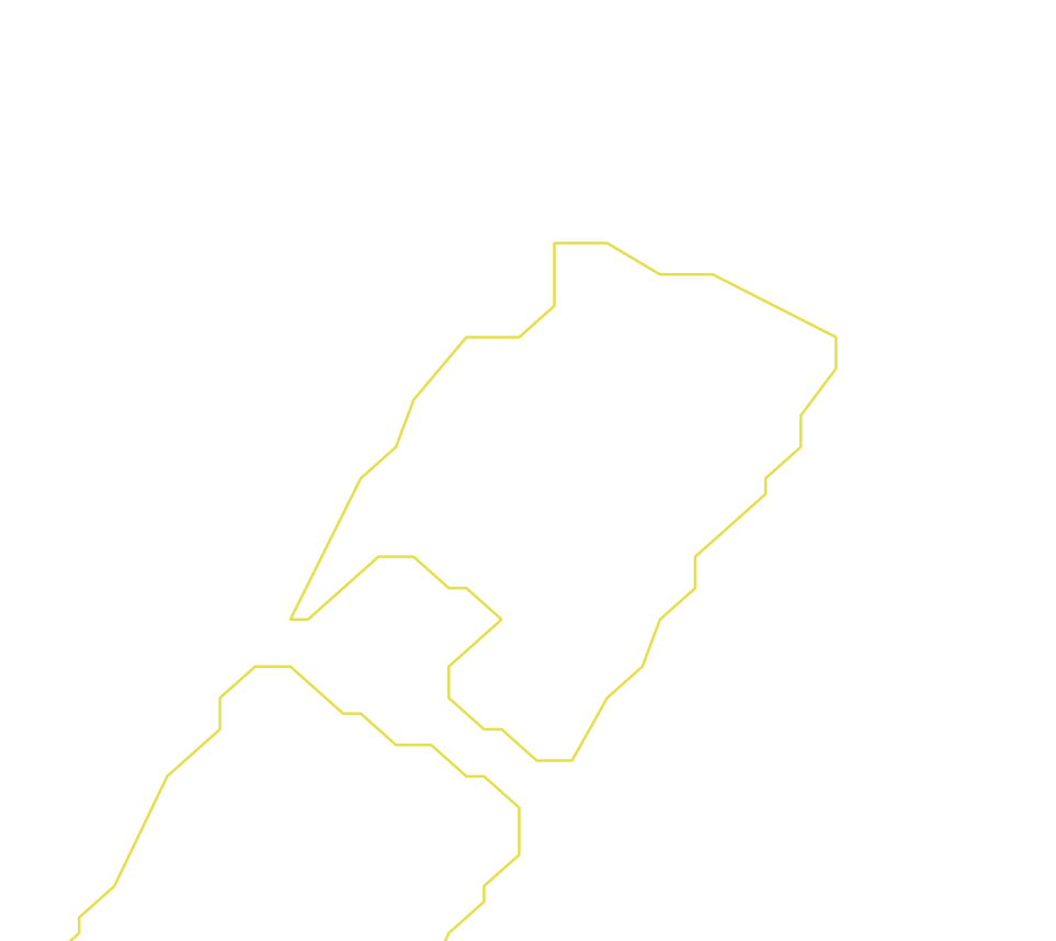 Daksegment ingezoomd met contourlijnen en structuurweergave