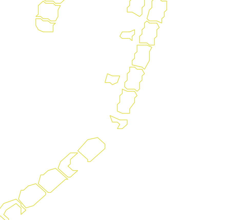 Daksegment met contourlijnen en structuurweergave