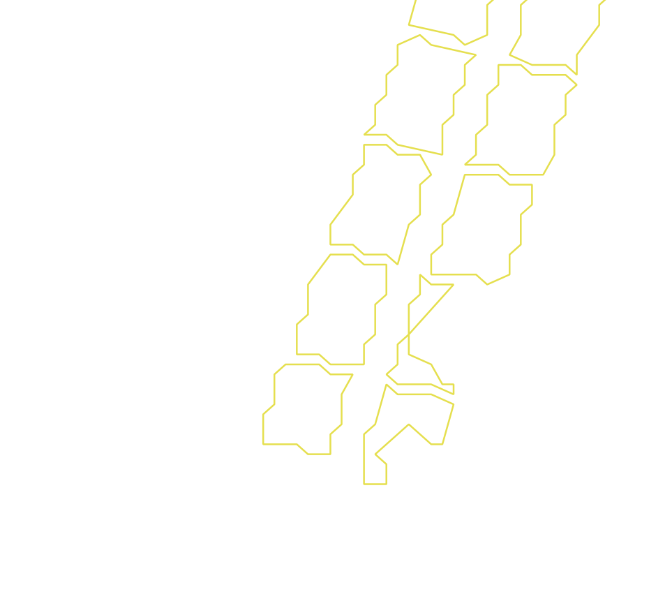 Daksegment ingezoomd met contourlijnen en structuurweergave
