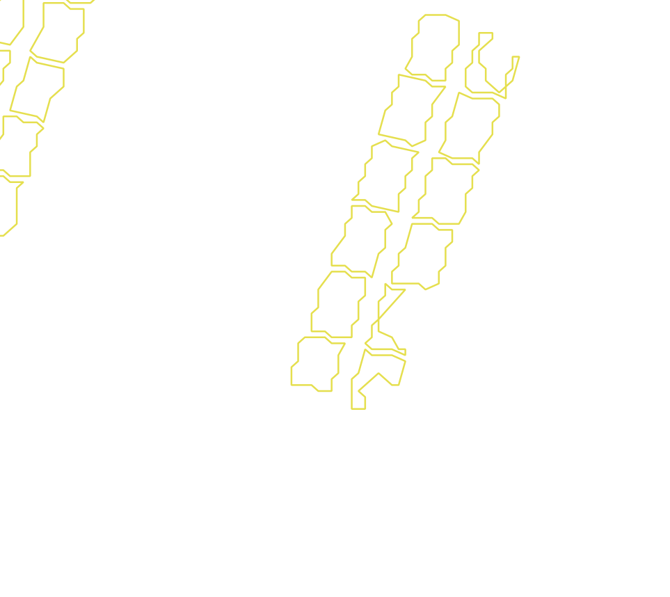 Daksegment met contourlijnen en structuurweergave
