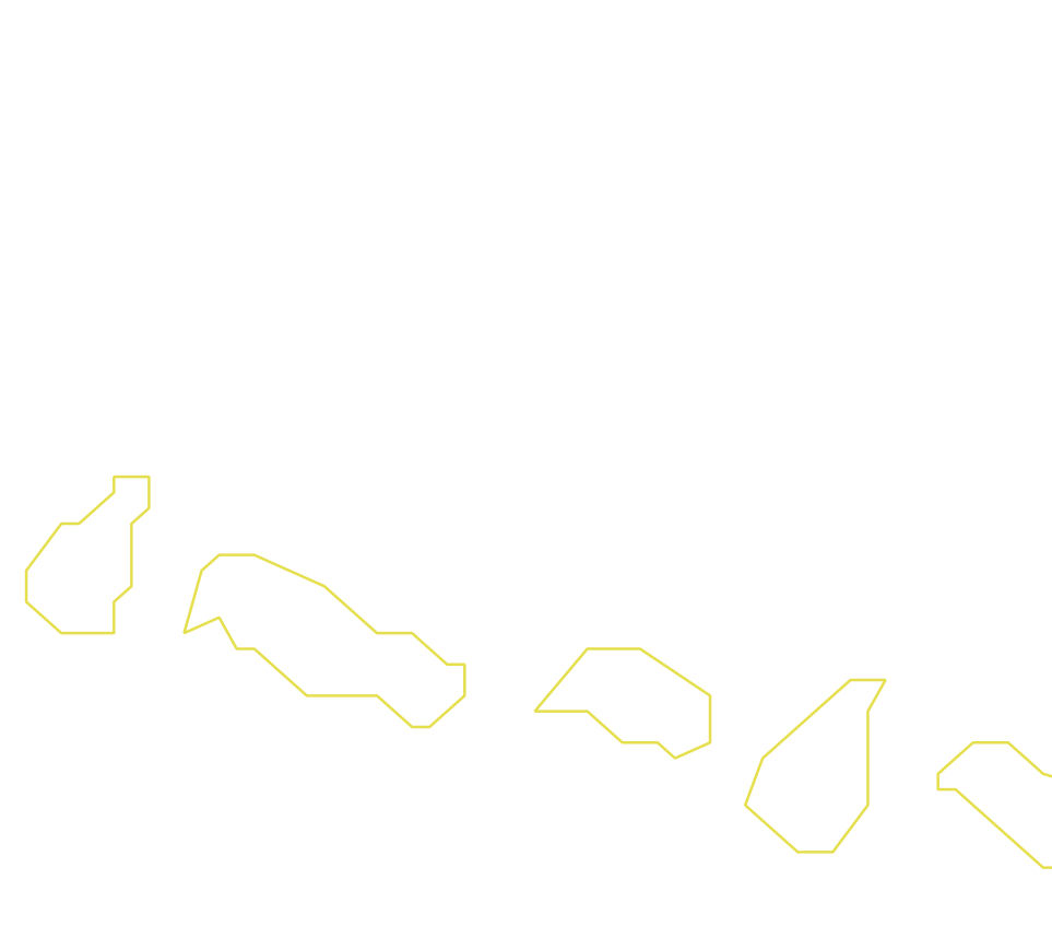 Daksegment ingezoomd met contourlijnen en structuurweergave