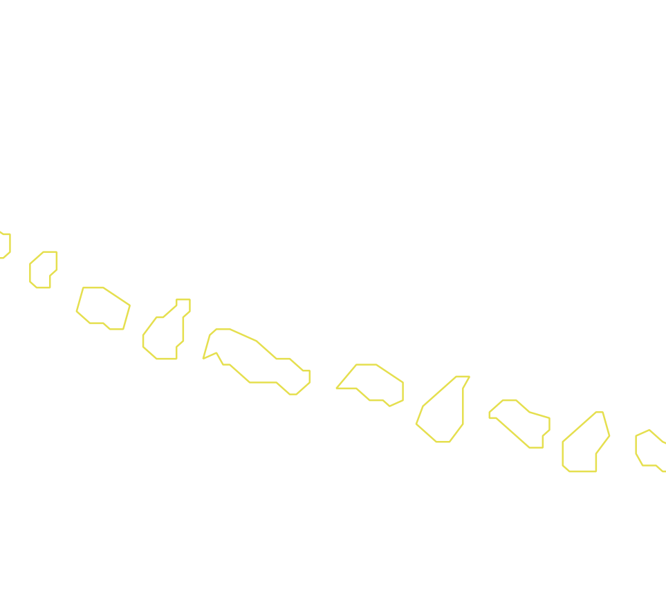 Daksegment met contourlijnen en structuurweergave