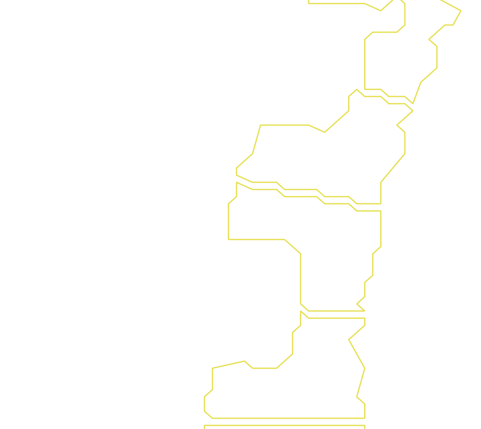 Daksegment ingezoomd met contourlijnen en structuurweergave