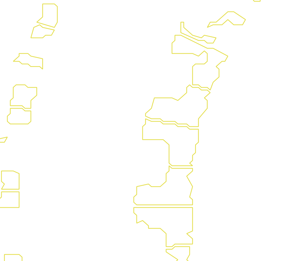 Daksegment met contourlijnen en structuurweergave