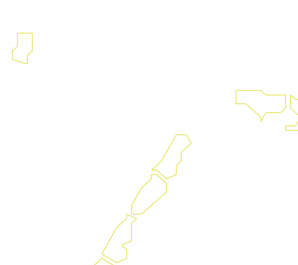 Daksegment ingezoomd met contourlijnen en structuurweergave